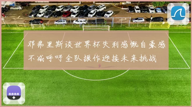邓弗里斯谈世界杯失利感慨自豪感不减呼吁全队振作迎接未来挑战